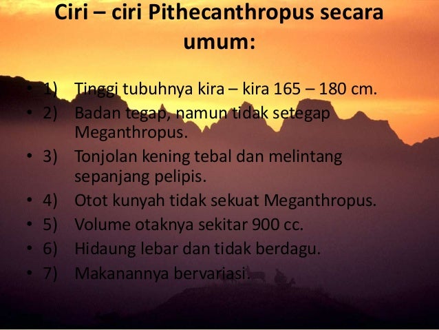 Sejarah Jenis Ciri Manusia Pra Aksara