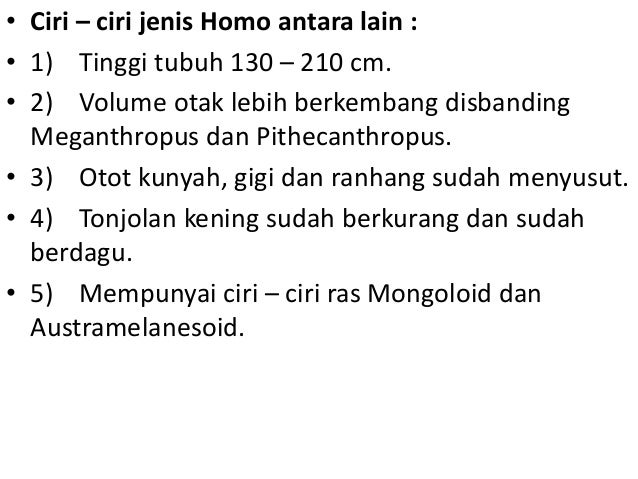 Ciri Ciri Manusia Purba Jenis Homo Ciri Ciri Manusia Purba Jenis Homo