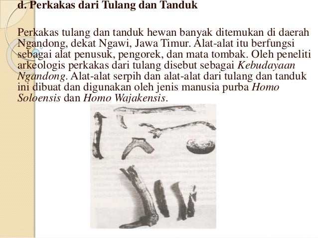 Kebudayaan zaman praaksara