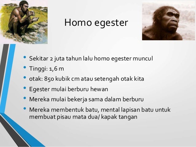 Sejarah Perkembangan Manusia - Sejarah Perkembangan Manusia 22 638