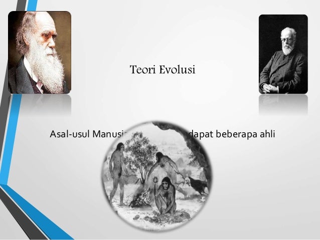 Sejarah Perkembangan Manusia