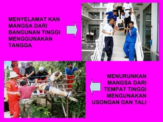 MENYELAMAT KAN
MANGSA DARI
BANGUNAN TINGGI
MENGGUNAKAN
TANGGA

MENURUNKAN
MANGSA DARI
TEMPAT TINGGI
MENGUNAKAN
USONGAN DAN TALI

 
