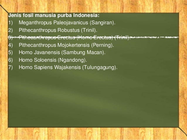 Sejarah (ciri ciri, fosil manusia purba indonesia dan asia)