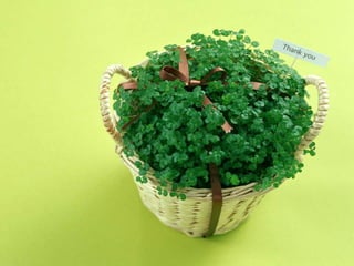 Sejarah hukum internasional