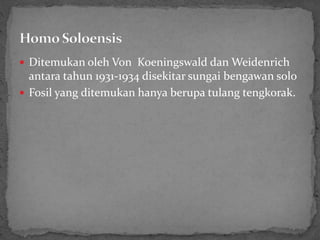  Ditemukan oleh Von Koeningswald dan Weidenrich
antara tahun 1931-1934 disekitar sungai bengawan solo
 Fosil yang ditemukan hanya berupa tulang tengkorak.
 