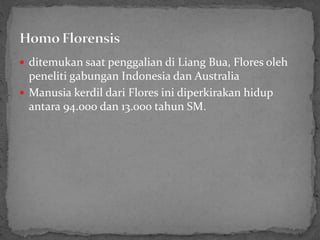  ditemukan saat penggalian di Liang Bua, Flores oleh
peneliti gabungan Indonesia dan Australia
 Manusia kerdil dari Flores ini diperkirakan hidup
antara 94.000 dan 13.000 tahun SM.
 