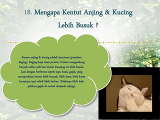 18. Mengapa Kentut Anjing & Kucing
              Lebih Busuk ?


   Karena anjing & kucing adalah karnivora (pemakan
daging). Daging kaya akan protein. Protein mengandung
 banyak sulfur, jadi bau kentut binatang ini lebih busuk.
  Lain dengan herbivora seperti sapi, kuda, gajah, yang
memproduksi kentut lebih banyak, lebih lama, lebih keras
 bunyinya, tapi relatif tidak berbau. (Makanya lebih baik
        pelihara gajah di rumah daripada anjing).
 