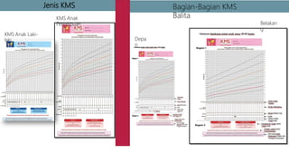 Jenis KMS Bagian-Bagian KMS
Balita
Depa
n
Belakan
g
KMS Anak Laki-
laki
KMS Anak
Perempuan
 
