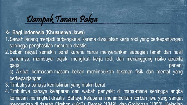 Bagaimana Dampak Pelaksanaan Sistem Tanam Paksa Bagi
