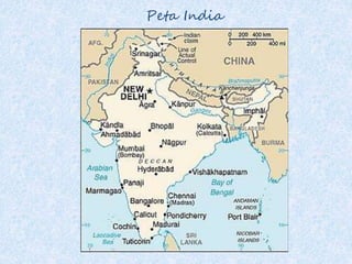Peta India
 