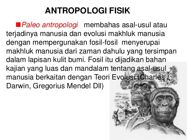 SAJIAN ANTROPOLOGI Sejarah perk. antrop
