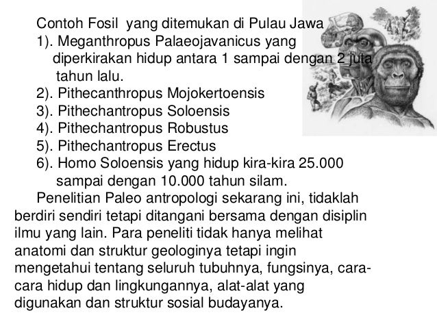 SAJIAN ANTROPOLOGI Sejarah perk. antrop