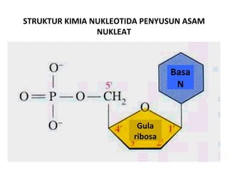 Sejarah perkembangan genetika dan bioteknologi | PPT