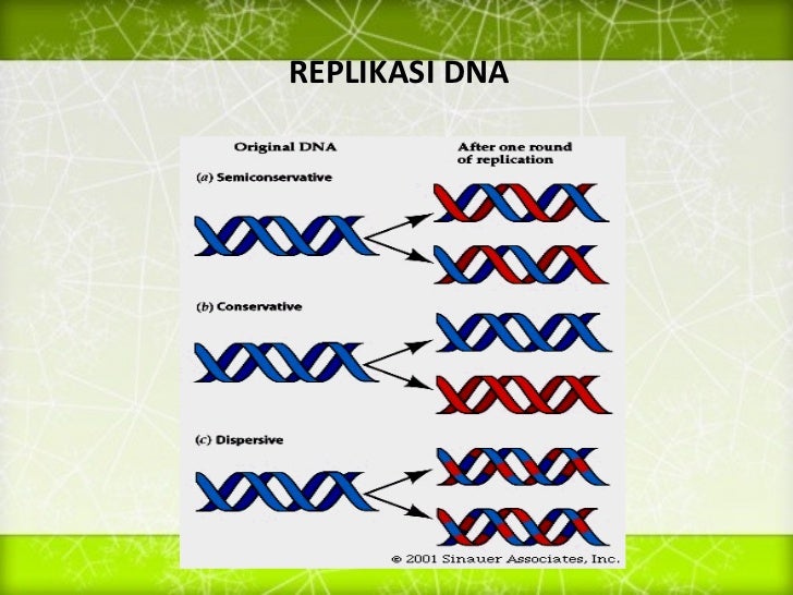 Sejarah perkembangan genetika dan bioteknologi