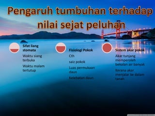 Waktu siang
terbuka
Waktu malam
tertutup
Sifat liang
stomata
Cth
saiz pokok
Luas permukaan
daun
Kelebatan daun
Fisiologi Pokok
Akar tunjang
memperoleh
bekalan air banyak
Kerana akar
menjalar ke dalam
tanah
Sistem akar pokok
 
