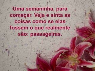 Uma semaninha, para
começar. Veja e sinta as
coisas como se elas
fossem o que realmente
são: passageiras.

 
