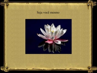 Seja você mesmo
 