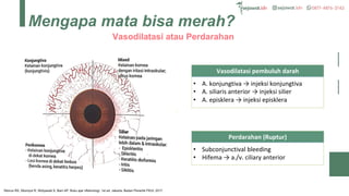 [SEJAWAT.idn] Mata.pdf abcffgdjkytmfhgdnhtd | PDF