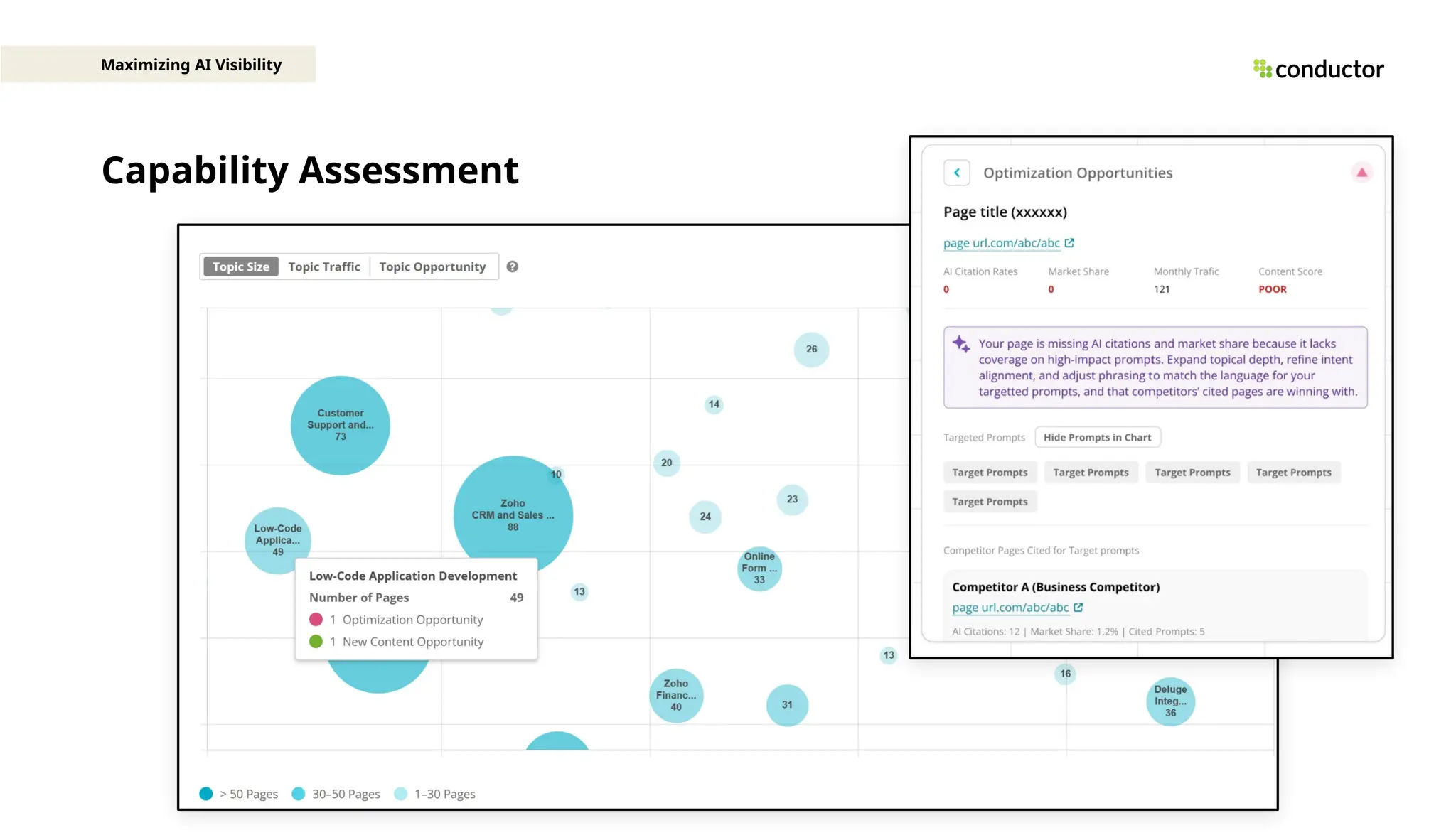 Capability Assessment
Maximizing AI Visibility
 