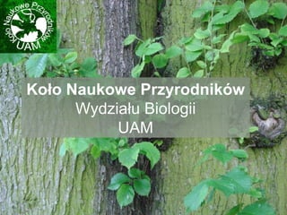 Koło Naukowe Przyrodników  Wydziału Biologii UAM 