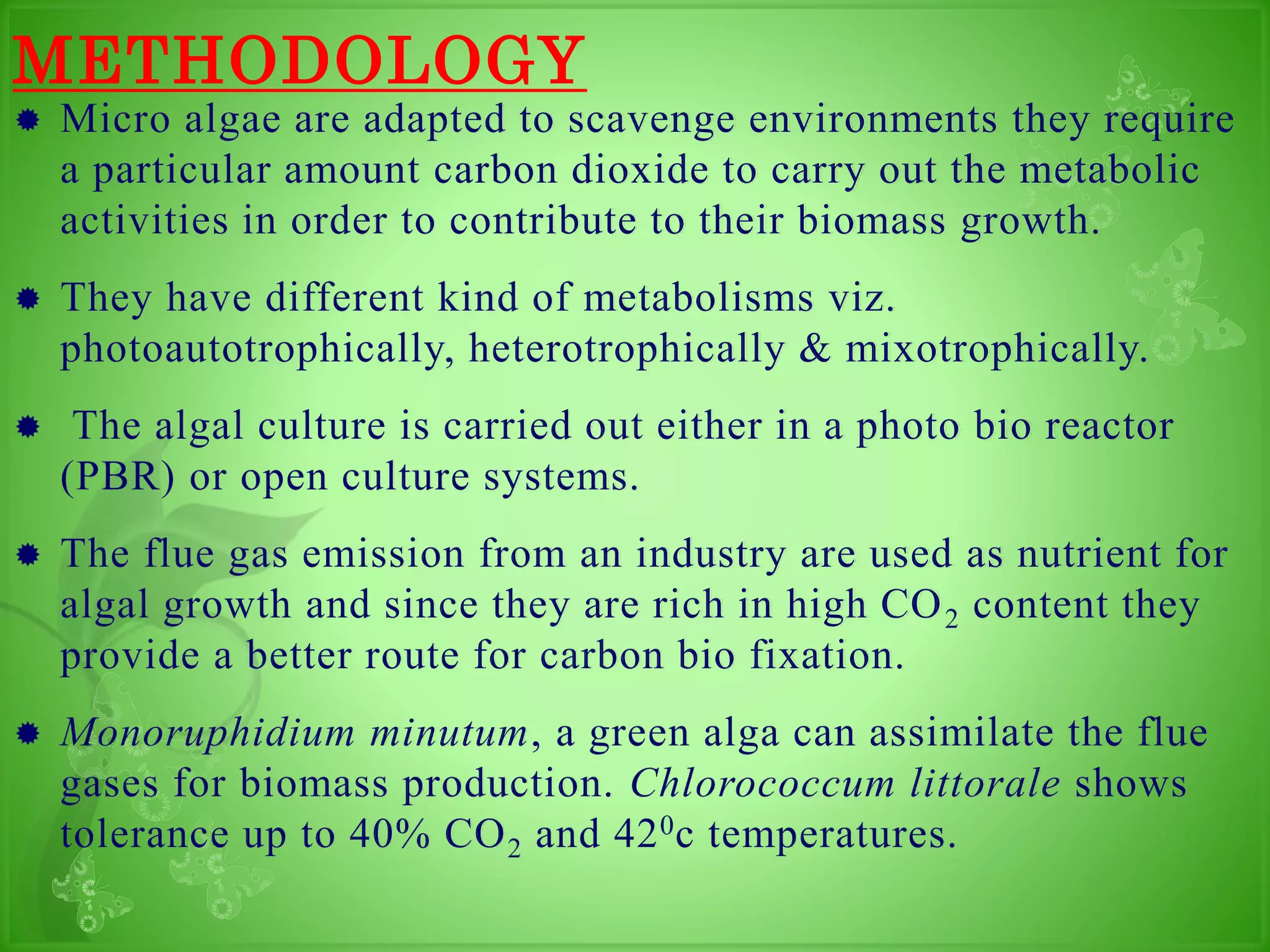 Biodiesel Production From Micro Algae Ppt