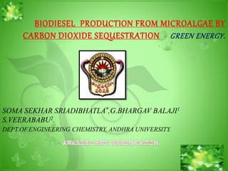 BIODIESEL PRODUCTION FROM MICROALGAE BY
CARBON DIOXIDE SEQUESTRATION - GREEN ENERGY.
SOMA SEKHAR SRIADIBHATLA*,G.BHARGAV BALAJI1
S.VEERABABU2.
DEPT.OF.ENGINEERING CHEMISTRY, ANDHRA UNIVERSITY.
 
