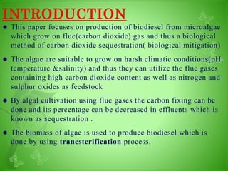 Biodiesel production from Micro Algae | PPT