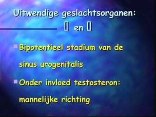 Uitwendige geslachtsorganen:Uitwendige geslachtsorganen:
 enen 
 Bipotentieel stadium van deBipotentieel stadium van de
sinus urogenitalissinus urogenitalis
 Onder invloed testosteron:Onder invloed testosteron:
mannelijke richtingmannelijke richting
 
