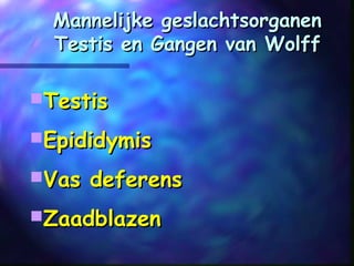 Mannelijke geslachtsorganenMannelijke geslachtsorganen
Testis en Gangen van WolffTestis en Gangen van Wolff
TestisTestis
EpididymisEpididymis
Vas deferensVas deferens
ZaadblazenZaadblazen
 