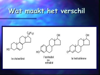 Wat maakt het verschilWat maakt het verschil
 