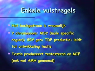 Enkele vuistregelsEnkele vuistregels
 Het basispatroon is vrouwelijkHet basispatroon is vrouwelijk
 Y chromosoom: MSY (male specificY chromosoom: MSY (male specific
region): SRY gen: TDF productie: leidtregion): SRY gen: TDF productie: leidt
tot ontwikkeling testistot ontwikkeling testis
 Testis produceert testosteron en MIFTestis produceert testosteron en MIF
(ook wel AMH genoemd)(ook wel AMH genoemd)
 