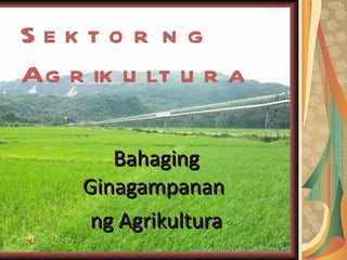 Sektor ng Agrikultura Bahaging Ginagampanan  ng Agrikultura 