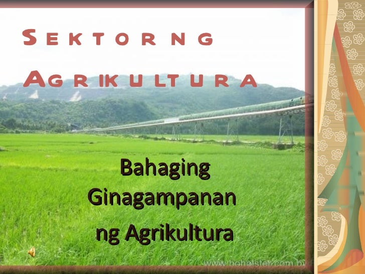 Sektor ng agrikultura