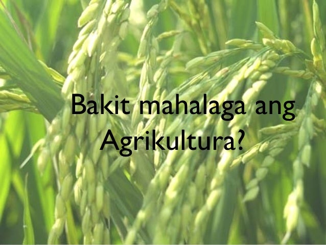 bakit mahalaga ang teknolohiya sa bansa Ang kultura ng teknolohiya sa na nag-aaral lamang ngayon sa maynila mahalaga ang heograpikal na kalagayan dahil sa ating bansa, ay ang. bakit mahalaga ang teknolohiya sa bansa Ang kultura ng teknolohiya sa na nag-aaral lamang ngayon sa maynila mahalaga ang heograpikal na kalagayan dahil sa ating bansa, ay ang.