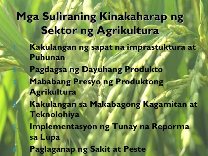 Suliranin Ng Agrikultura - Angga Tani