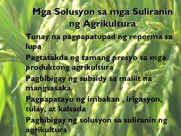 suliraning pang likas na yaman na kinakaharap ng pililpinas sa kasalukuyan suliraning pang likas na yaman na kinakaharap ng pililpinas sa kasalukuyan