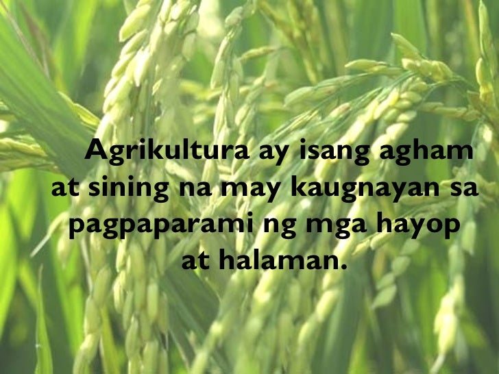 Sektor ng agrikultura