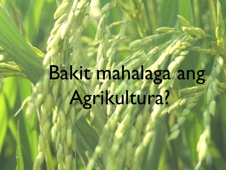 ano ang ibig sabihin ng makabagong teknolohiya Ang layunin ng pag-aaral na ito ay upang ipaalam ang impluwensiya ng makabagong teknolohiya ng mga gadgets upang mabigyan ng pagkakataon na mabigyan ng boses ang mga kabataan na maipakita ang tunay na damdamin sa kung ano ang nabibigay sa kanila ng makabagong teknolohiya sa kanilang buhay. ano ang ibig sabihin ng makabagong teknolohiya Ang layunin ng pag-aaral na ito ay upang ipaalam ang impluwensiya ng makabagong teknolohiya ng mga gadgets upang mabigyan ng pagkakataon na mabigyan ng boses ang mga kabataan na maipakita ang tunay na damdamin sa kung ano ang nabibigay sa kanila ng makabagong teknolohiya sa kanilang buhay.