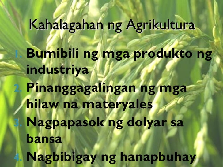 Bakit Mahalaga Ang Agrikultura Sa Ekonomiya