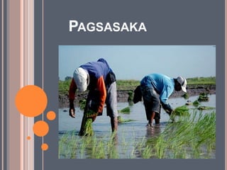 Sektor ng agrikultura | PPTX