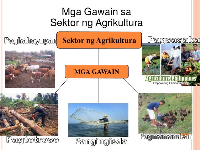Sektor ng agrikultura
