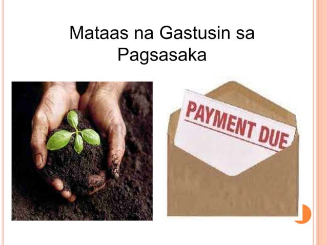 Sektor ng Agrikultura