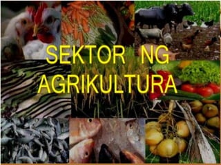 sektor ng agrikultura.pdf