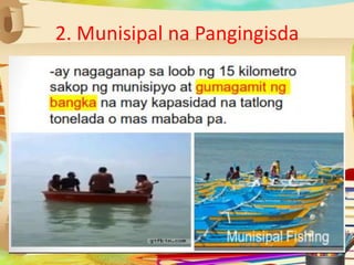 2. Munisipal na Pangingisda
 