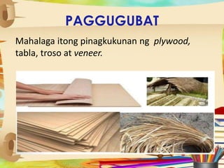 PAGGUGUBAT
Mahalaga itong pinagkukunan ng plywood,
tabla, troso at veneer.
 
