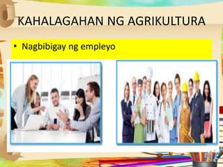 KAHALAGAHAN NG AGRIKULTURA
• Nagbibigay ng empleyo
 