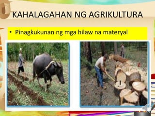 KAHALAGAHAN NG AGRIKULTURA
• Pinagkukunan ng mga hilaw na materyal
 