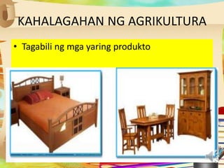 KAHALAGAHAN NG AGRIKULTURA
• Tagabili ng mga yaring produkto
 