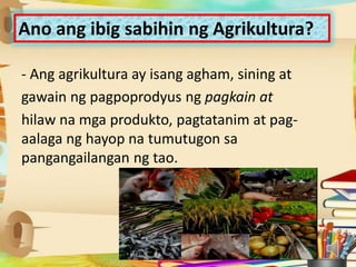 Ano ang ibig sabihin ng Agrikultura?
- Ang agrikultura ay isang agham, sining at
gawain ng pagpoprodyus ng pagkain at
hilaw na mga produkto, pagtatanim at pag-
aalaga ng hayop na tumutugon sa
pangangailangan ng tao.
 