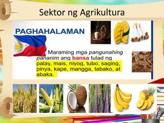 Sektor ng Agrikultura
 